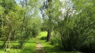 Entretient des parcs et jardins à Aubenas et en Ardèche